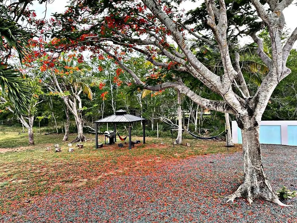 Monte Playa Beach House Lägenhet Islote